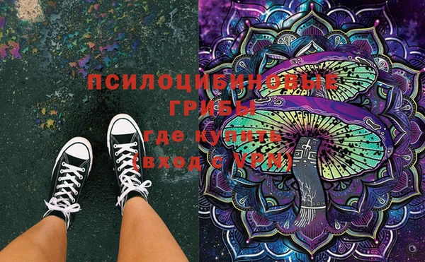 экстази Белокуриха