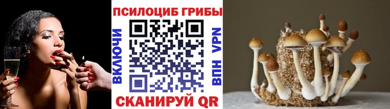 нарко площадка состав Сегежа Галлюциногенные грибы Magic Shrooms кракен ссылки